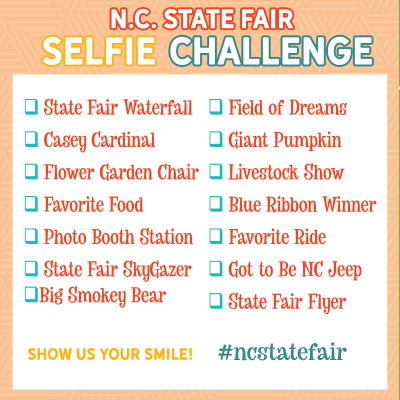 image of selfie challenge checklist