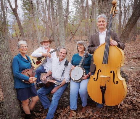 Men and women with instruments in the woods 