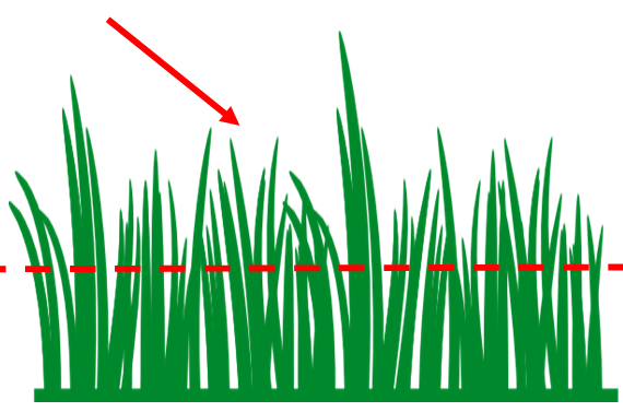 Submit the clippings from the upper third of the turf