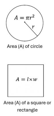 Equations for area of a circle and a square