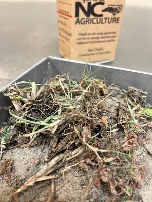 soil sample with excessive plant debris