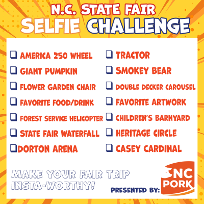 List of fun items to do for a fair selfie challenge