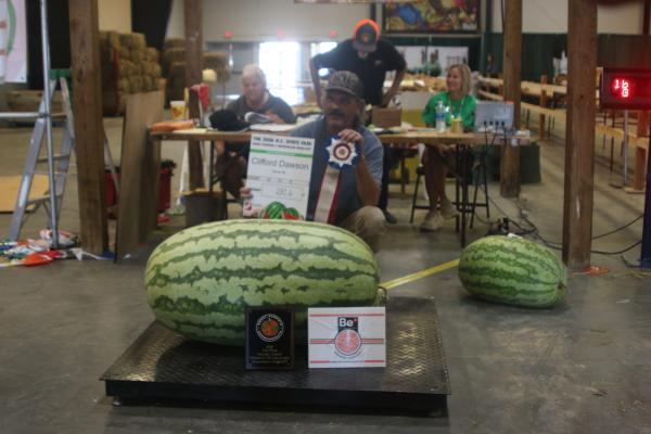 A man posing with a 281-pound pumpkin