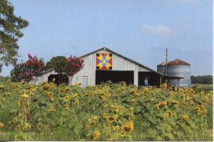 2025 Agricultural Statistics Book and or Brochure