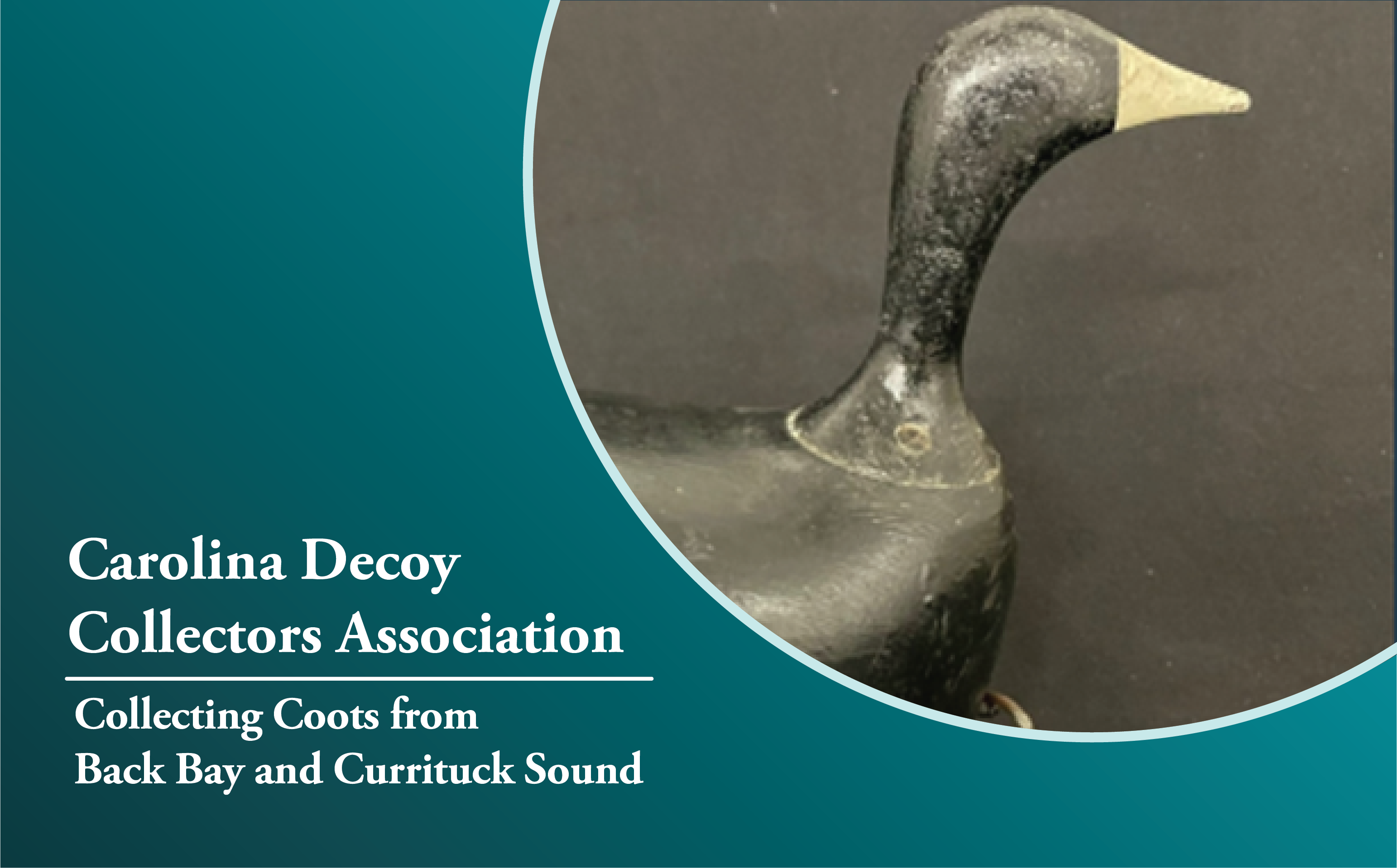 Carolina Decoy Collectors Association November 4