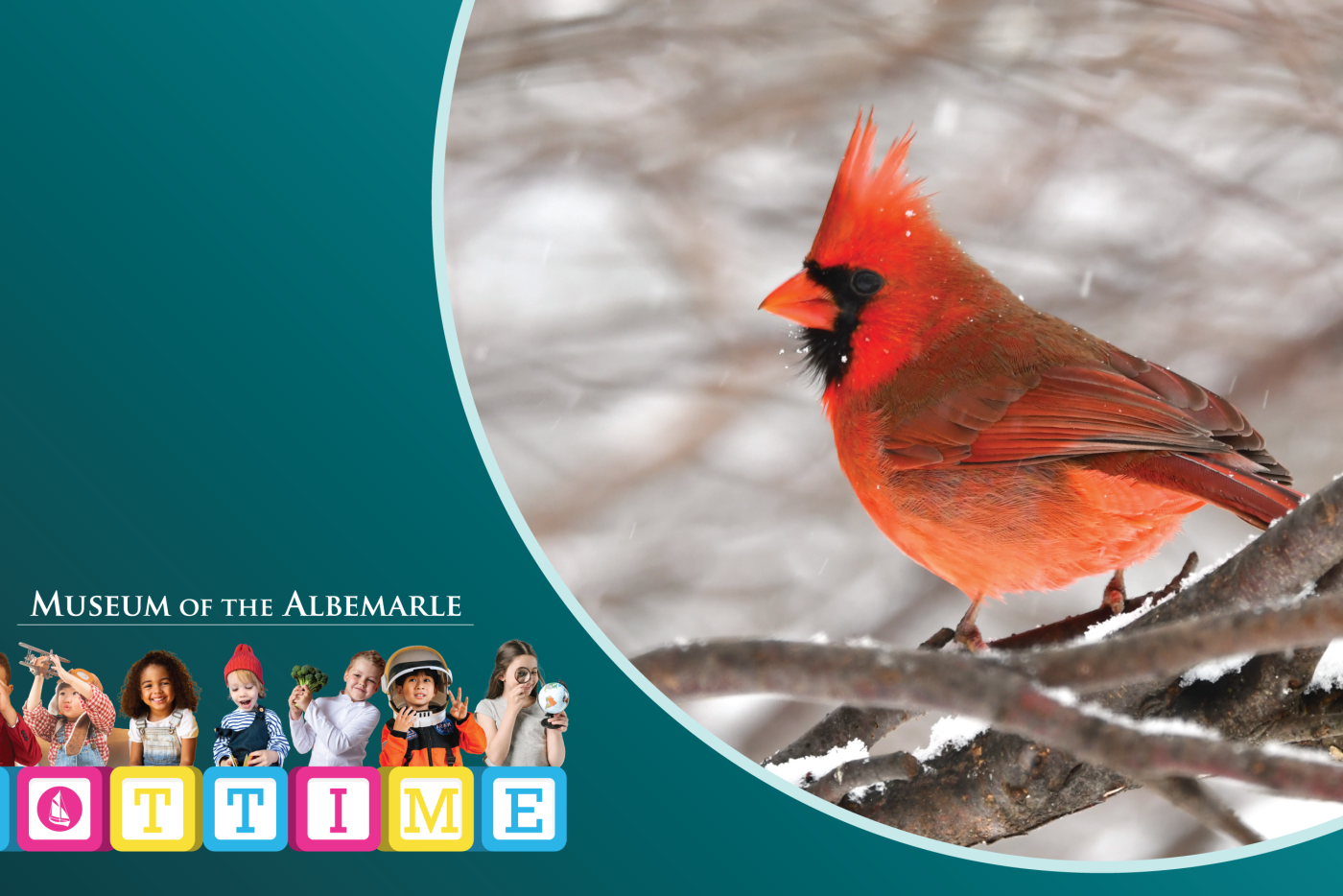 A red cardinal