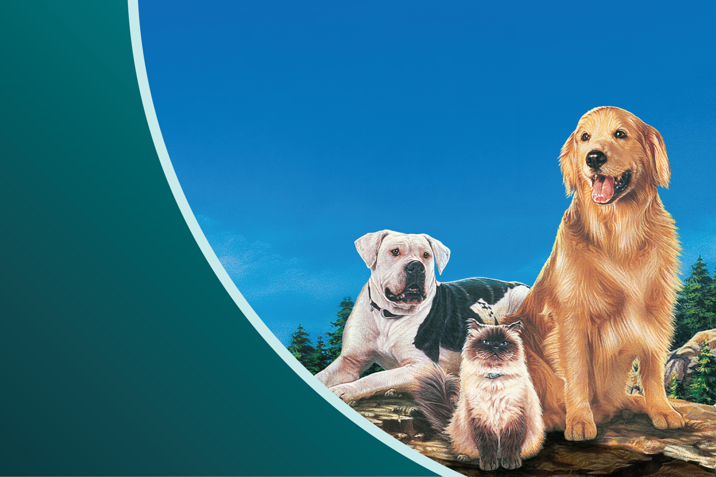 Three dogs