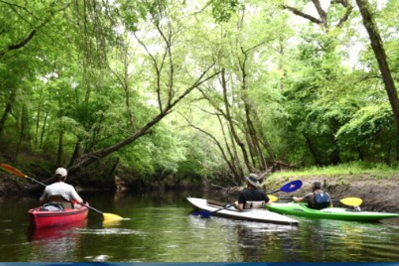 A group of people in kayaks.