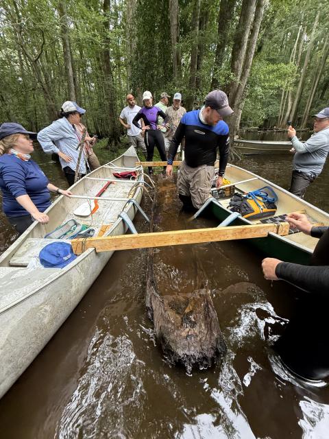 group of people looking over two canoes