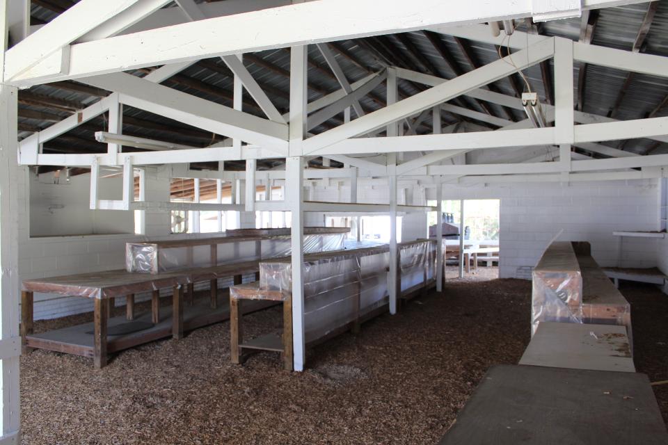 Interior of a large open-sided market or pavilion with white-painted wooden beams, long wooden tables covered in plastic, and a wood-chip-covered floor.