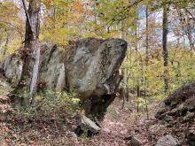 Large rock in forest