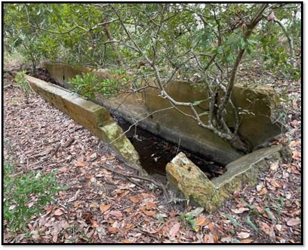 Concrete chute for pest removal from cattle