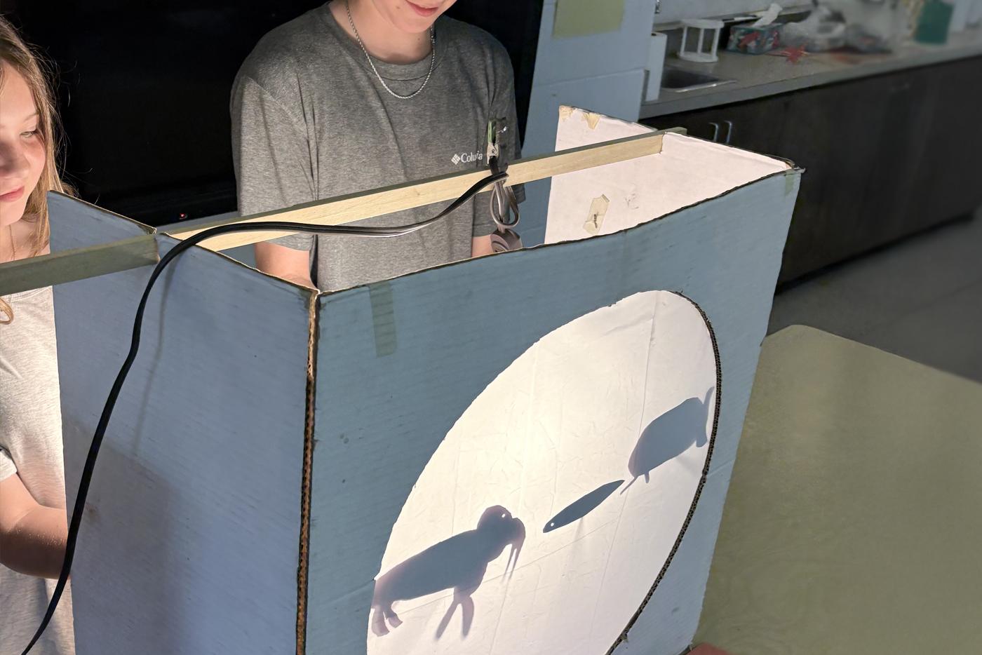 Students from Chocowinity Middle School learning puppetry from master puppeteer, Hobey Ford. Students behind a lit screen using shadow puppets. Photo courtesy of Hobey Ford and Loyd Artists.