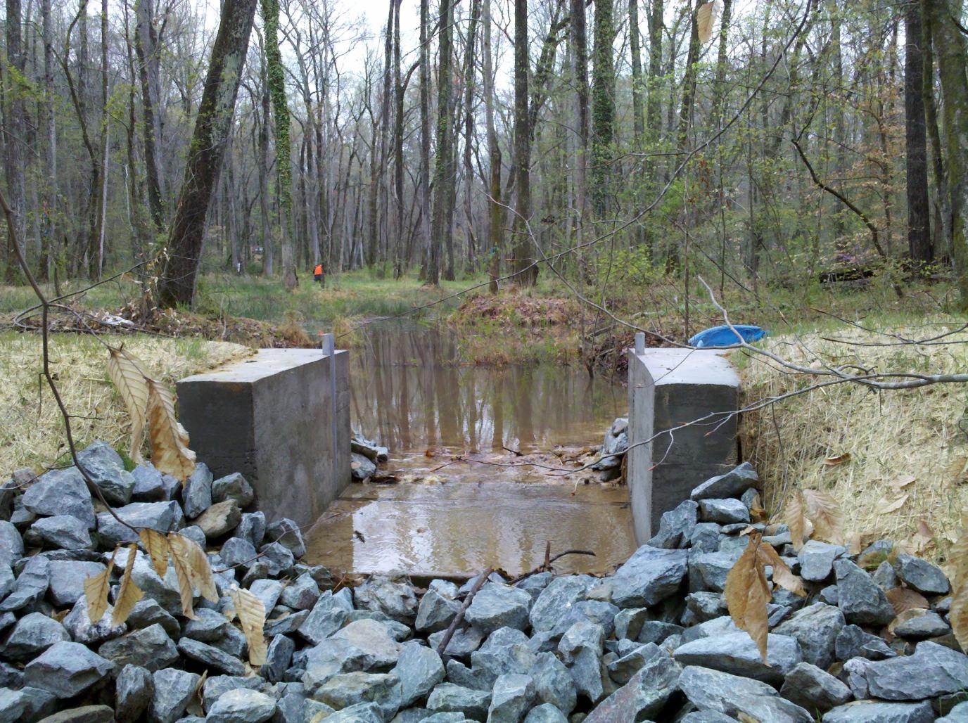 Outflow weir at Duke SWAMP anabranching wetland