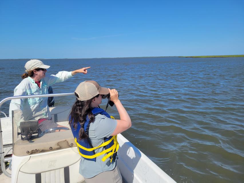 NCLWF Staff looking through binoculars
