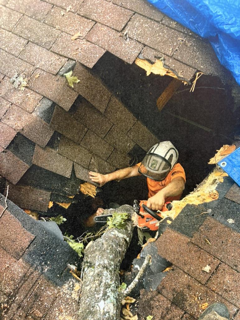 worker removing tree from roof
