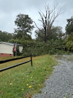 trees down on home