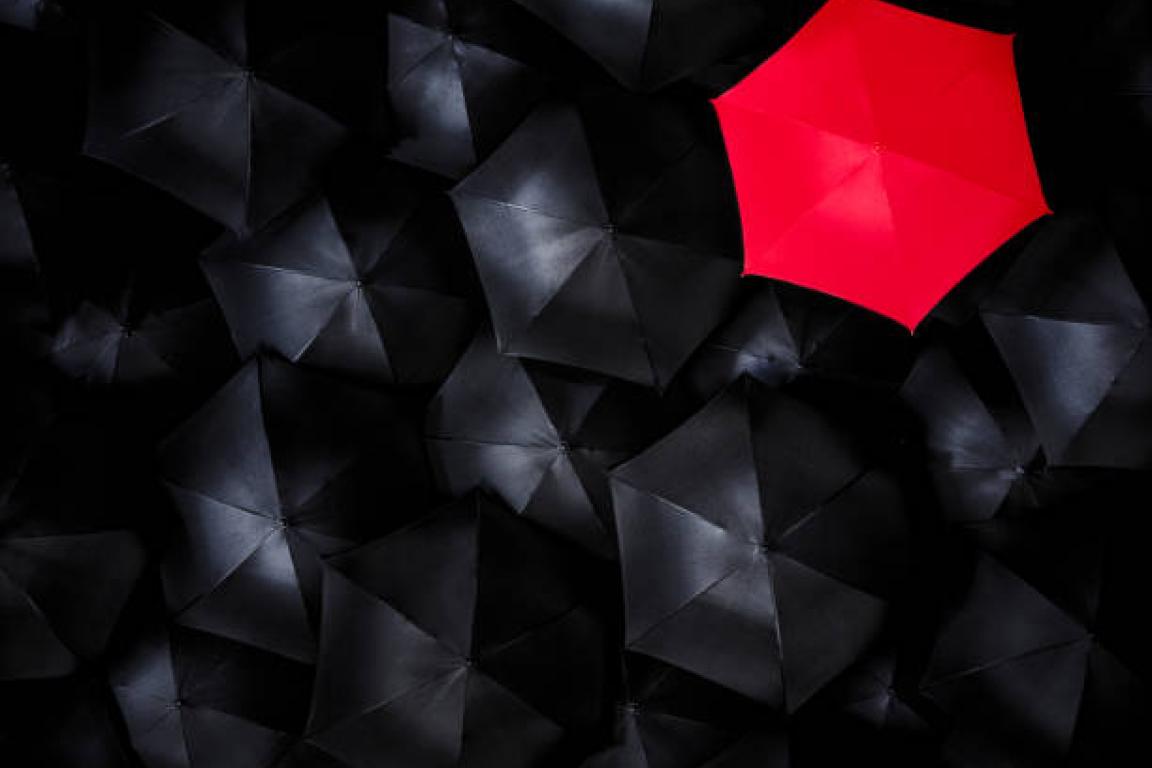 Fidelity & Surety Bonds