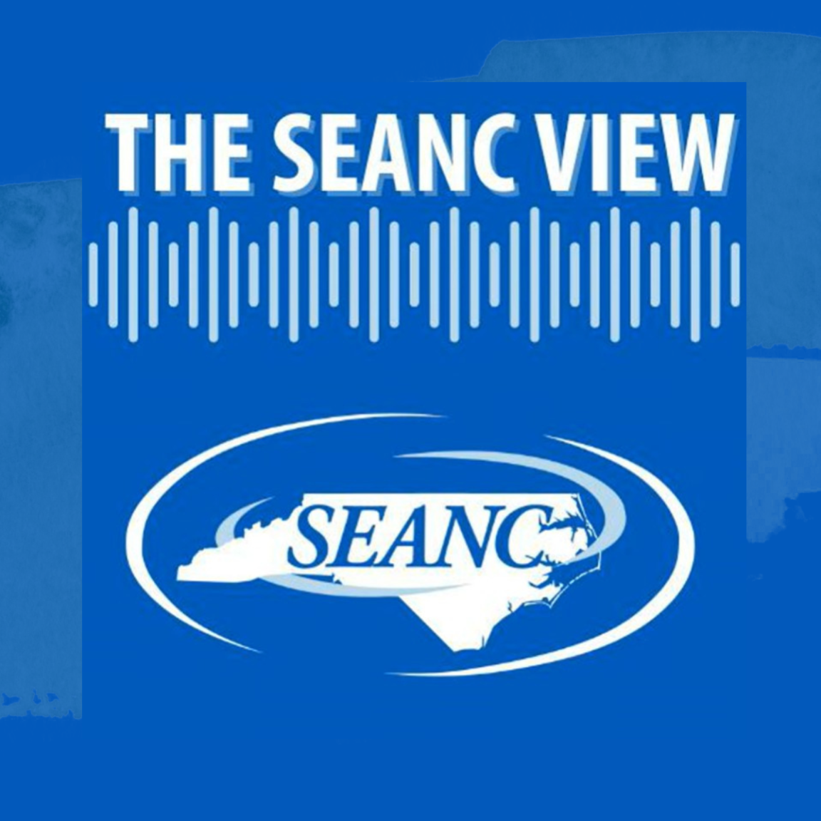 logo with blue background and white text saying The SEANC View