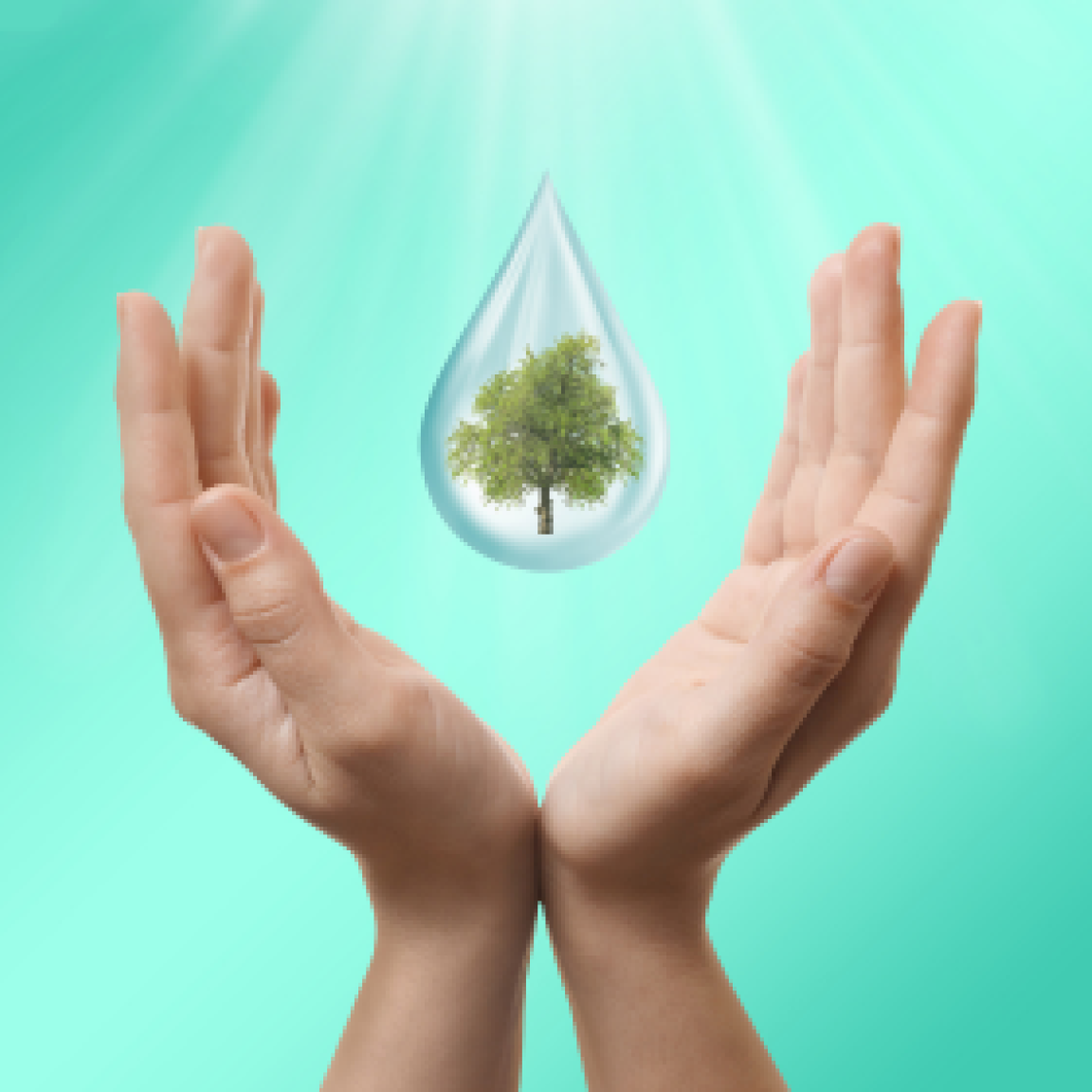 hands holding drop of water