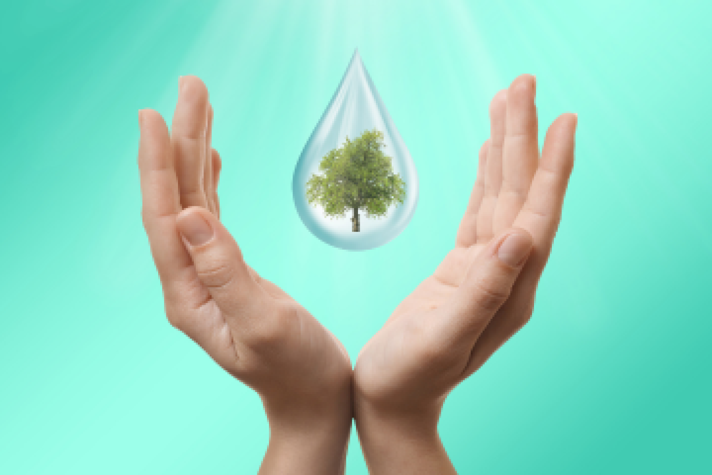 hands holding drop of water