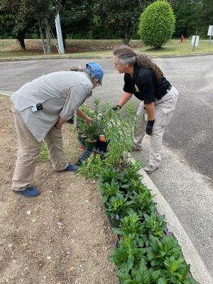 two women delivering plants to pollinator gardens