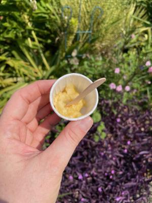 Sample cup of mashed pawpaw fruit held outdoors in a garden.