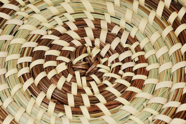 Alfreda Johnson AACCED