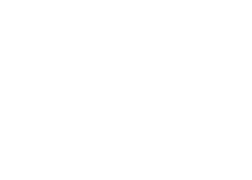 Museum of History flyer logo (white in footer)