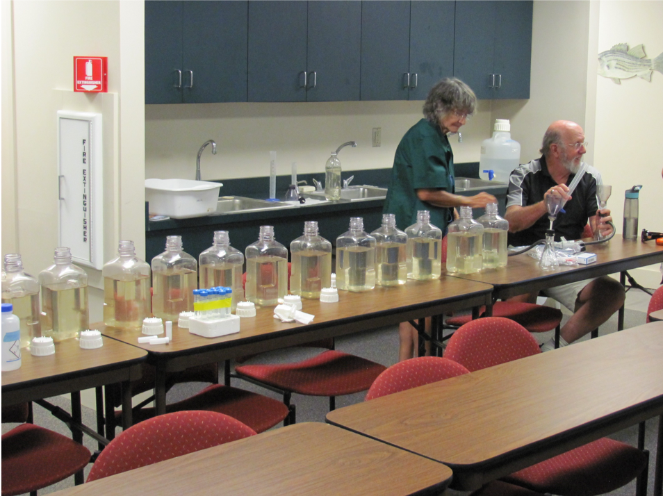 A line of water samples