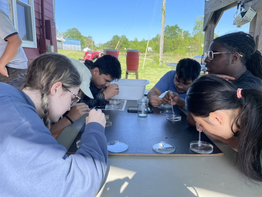 Students examining embryos 