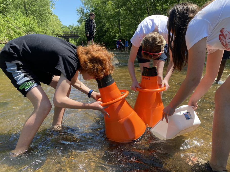 Students using equipment to release shad into creek