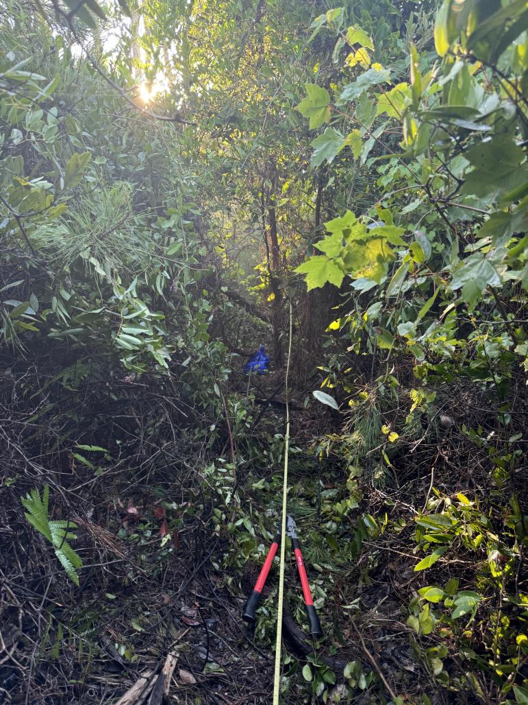 Vegetation Plot