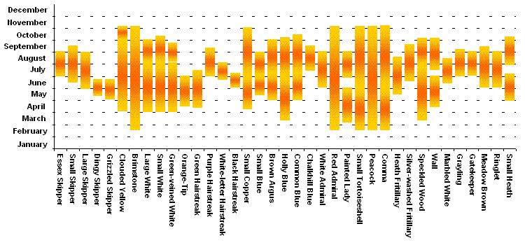 Bar chart showing the flight phenology of various UK butterfly species across months of the year