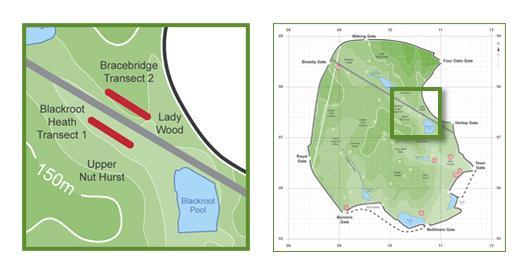 Map diagram illustrating transect sections in a park or nature reserve