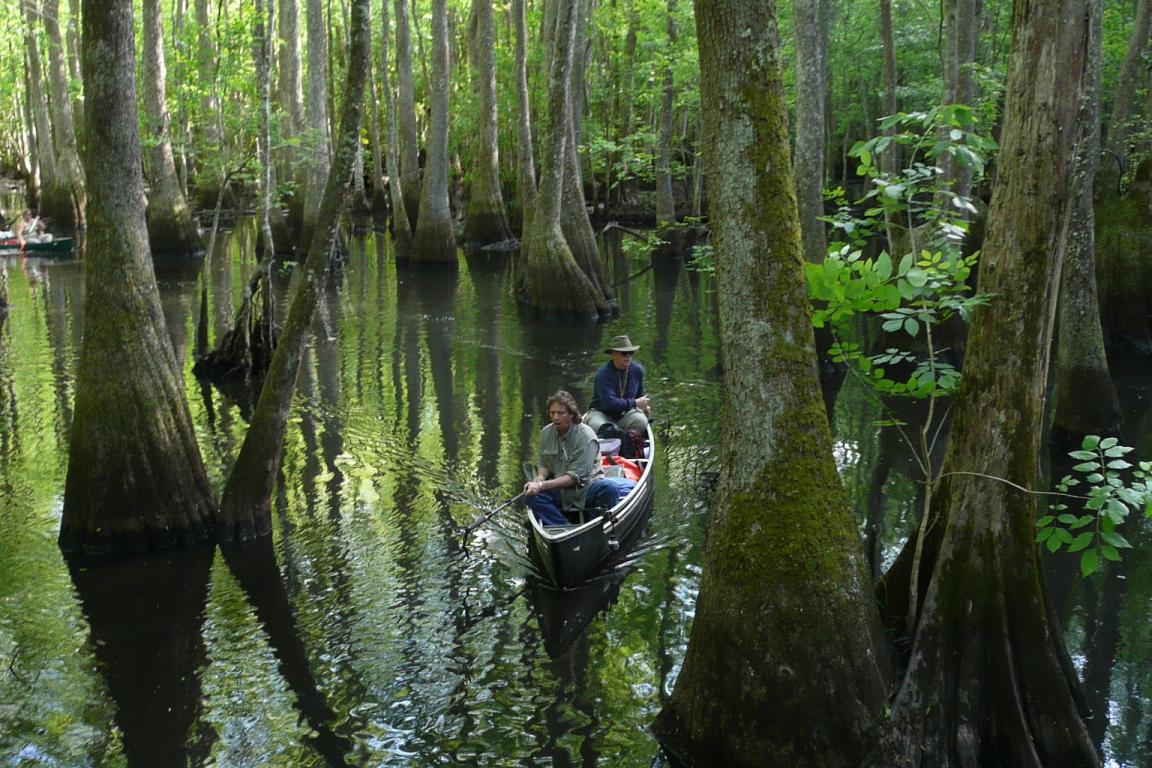 canoeing on the river