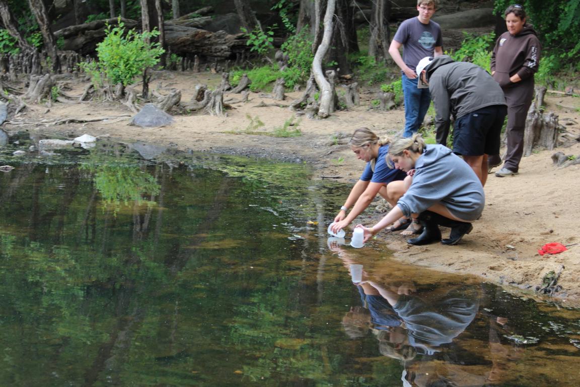 Students releasing shad fry into a creek