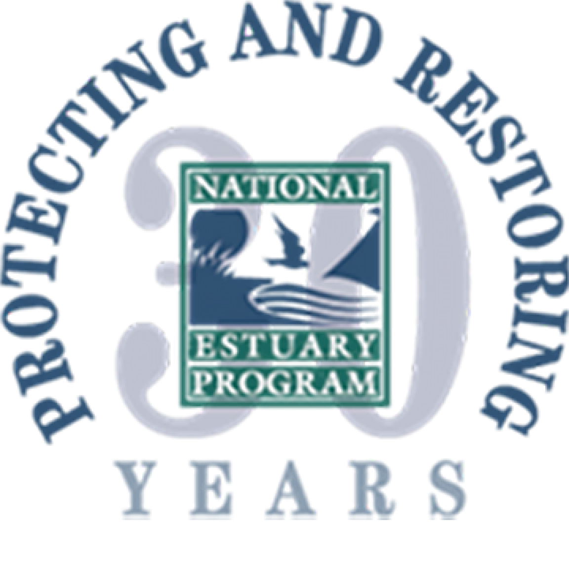NEP 30th Anniversary Logo