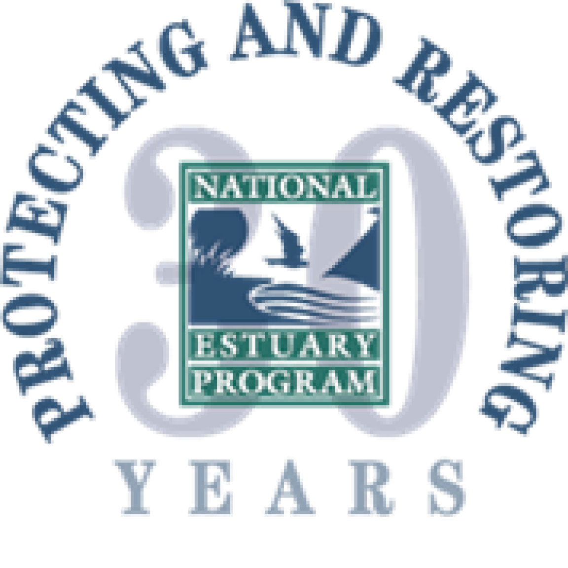 NEP 30th anniversary logo