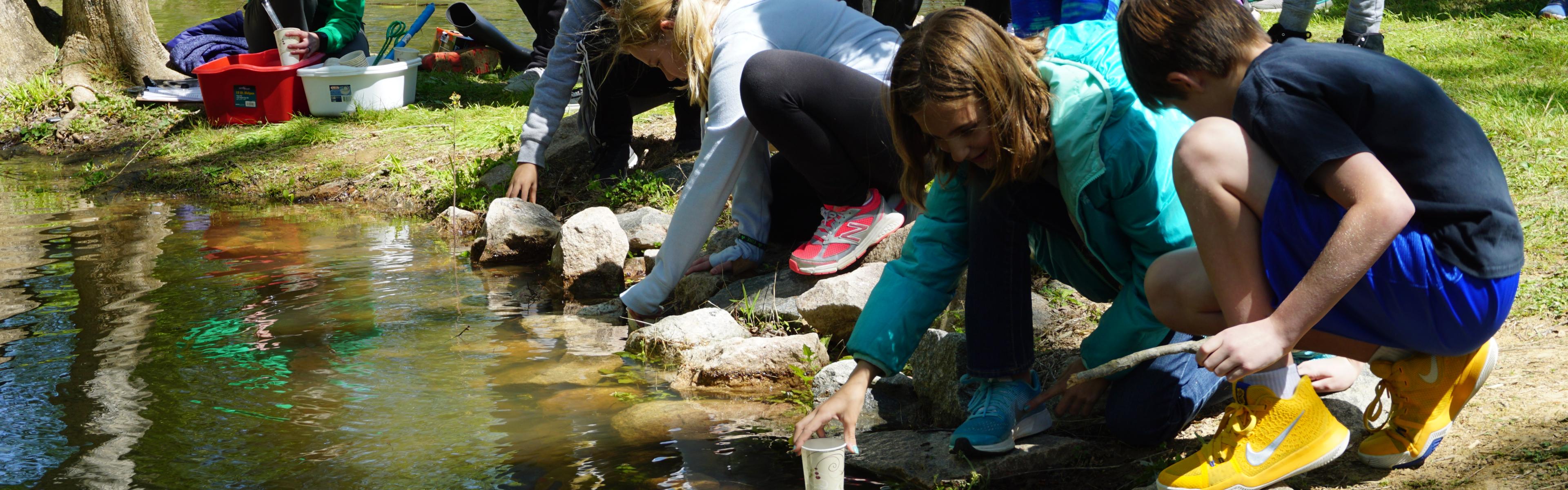 kids releasing shad