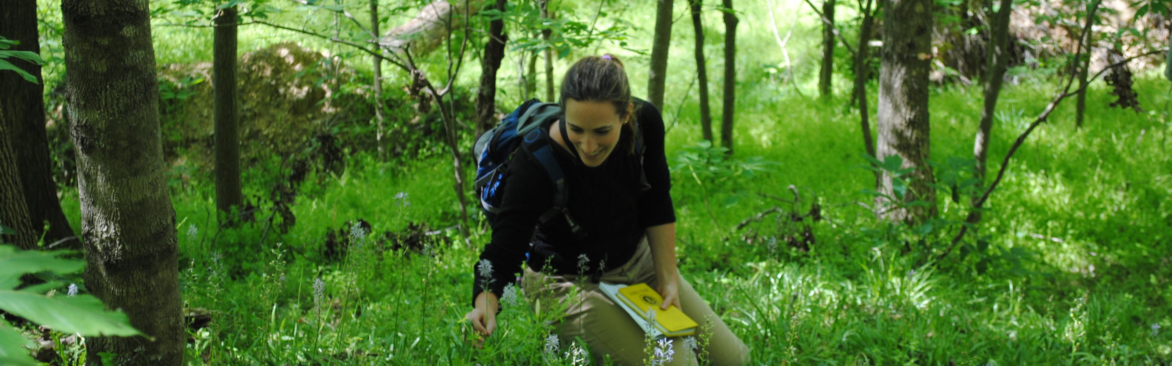 Scientist in the woods