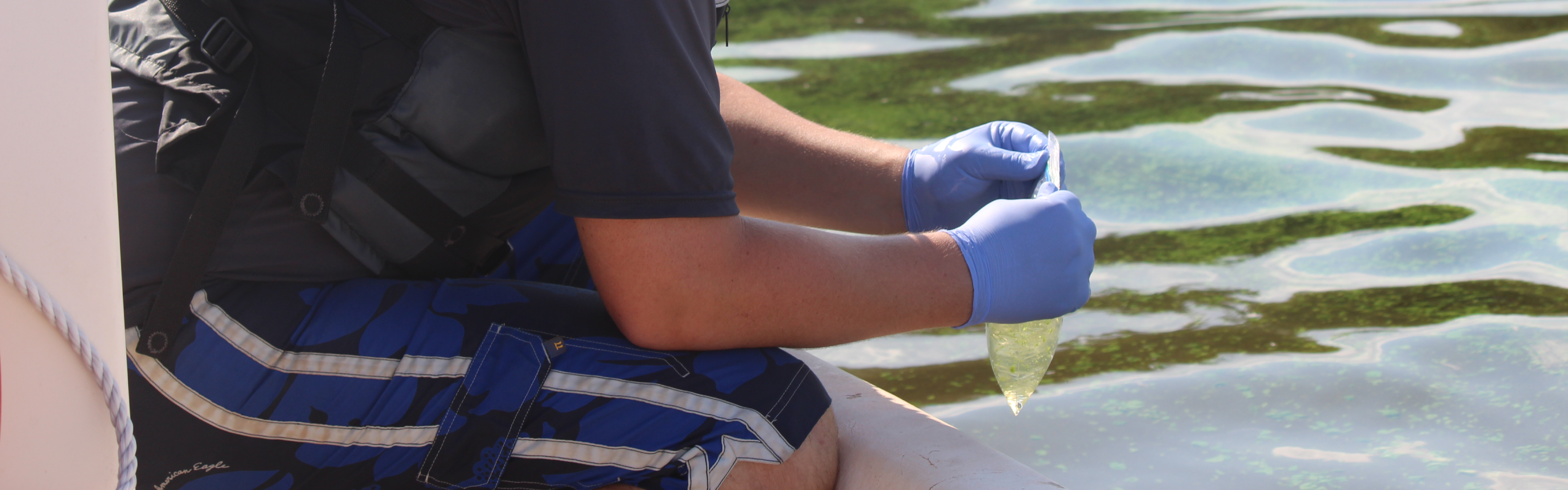 Man sampling from algal bloom