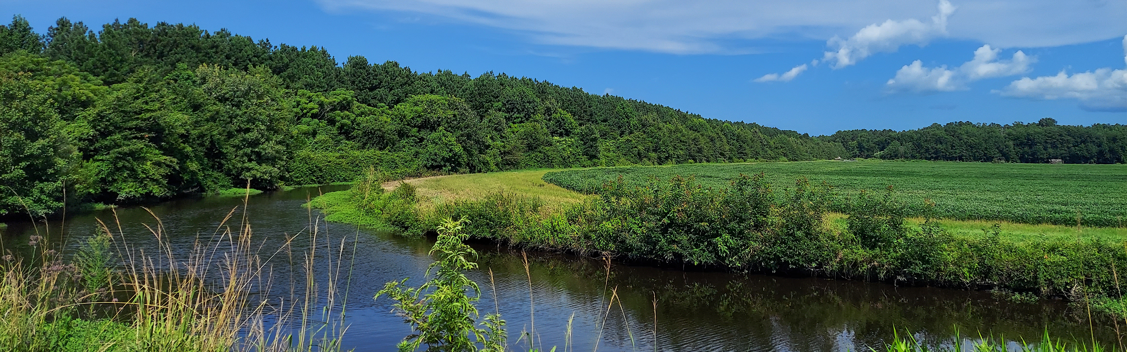Green land along waterway
