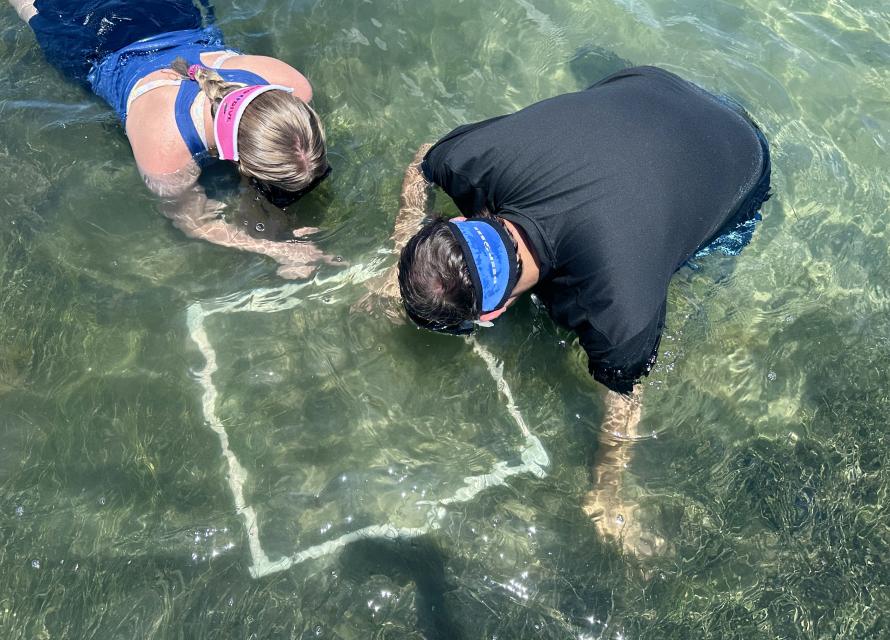 Riley Ragain and Tim Ellis sit in shallow water with a PCV pipe quadrat placed underwater on submerged aquatic vegetation. 
