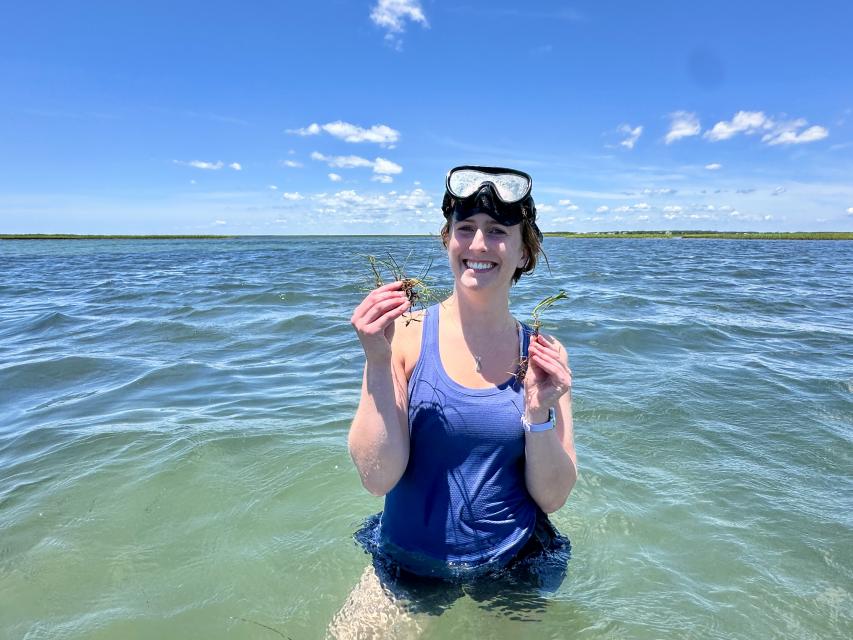 STEM Policy Fellow, Riley Ragain, holding up seagrass while standing in waist deep water. 