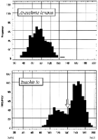 Histogram representing voltinism