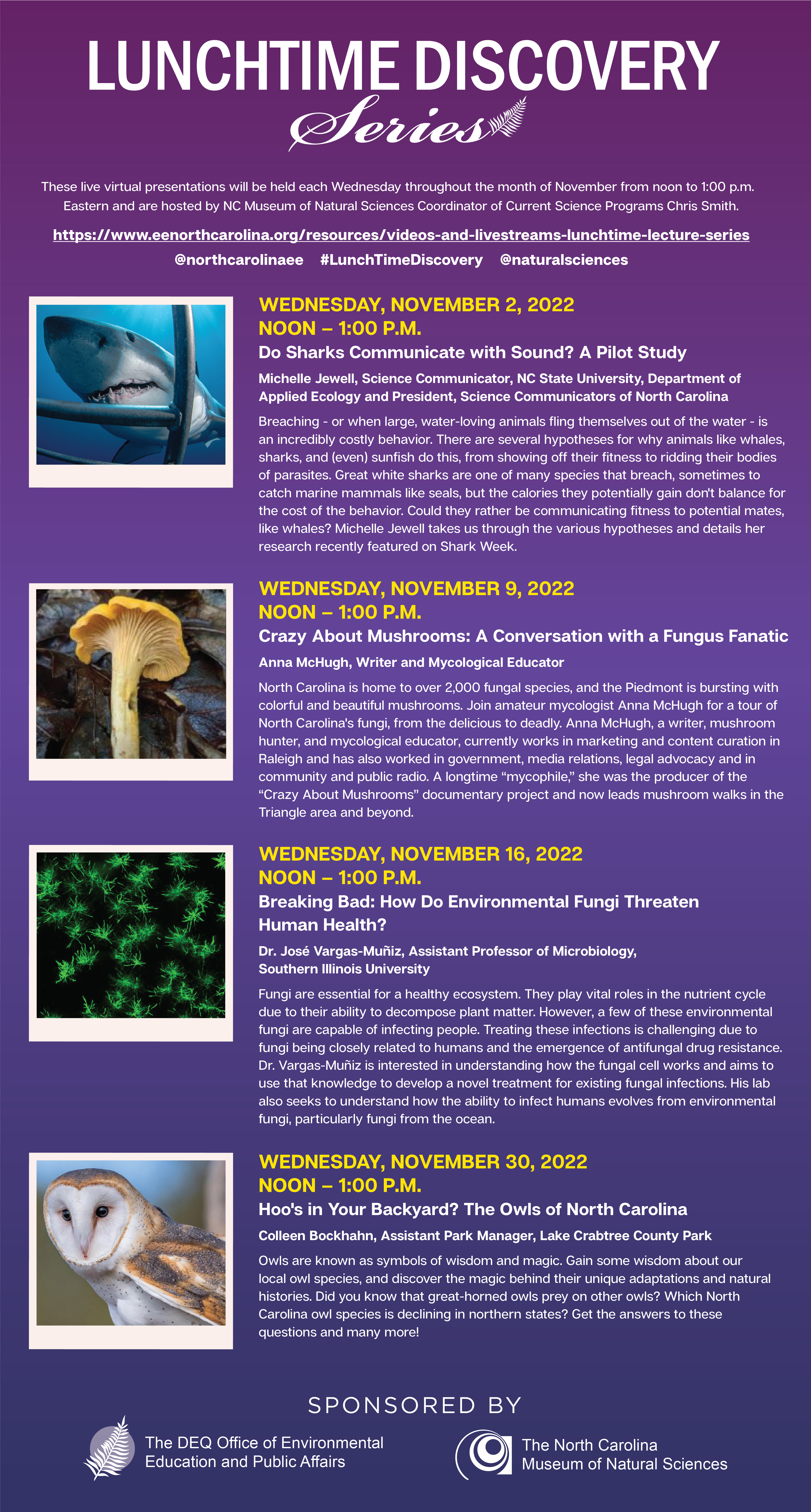 November schedule for Lunchtime Discovery Series