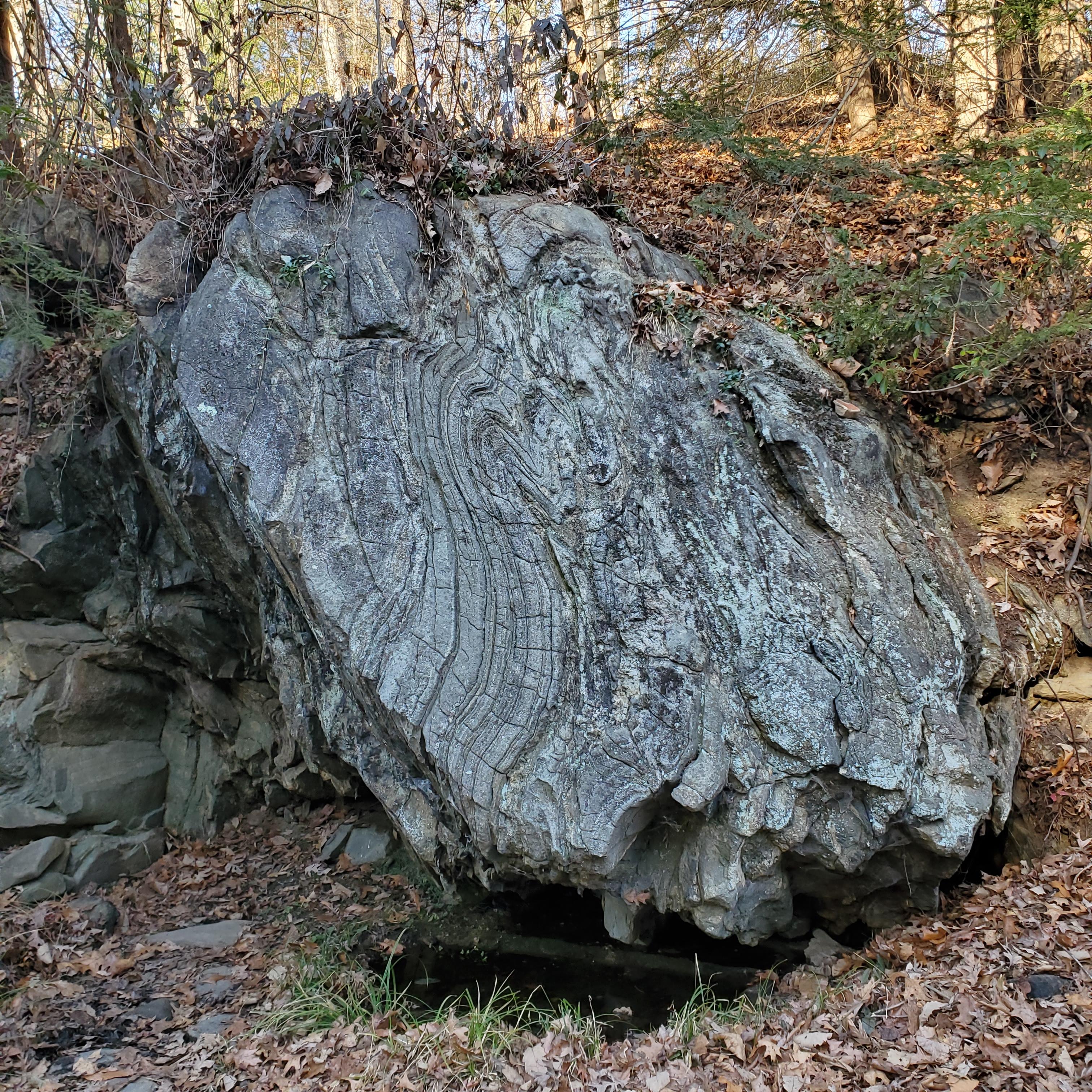 Why does this boulder appear to be bent and folded? | NC EE