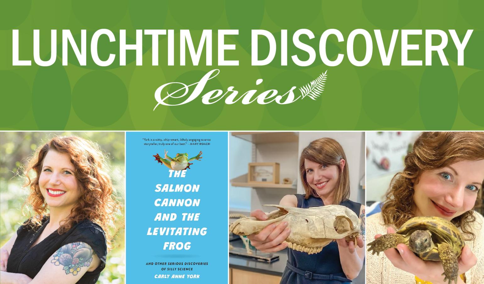 Graphic advertising Dr. York's talk on September 17 at noon