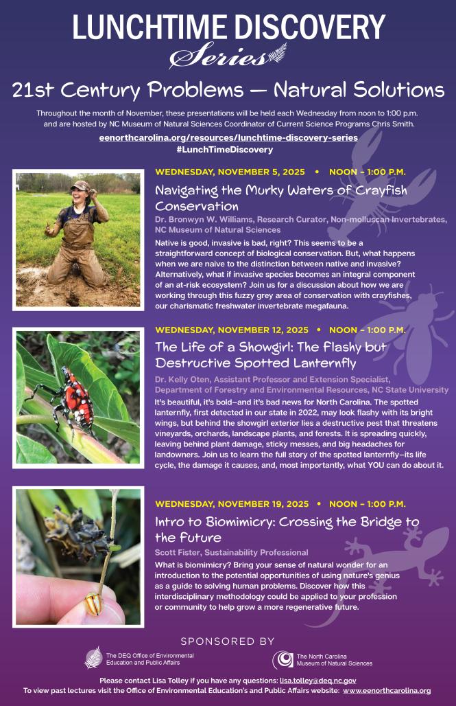 Graphic for the November Lunchtime Discovery Series